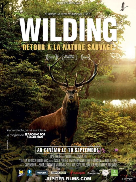 10-Wilding, Retour à la Nature Sauvage de David Allen (Jupiter Films)
